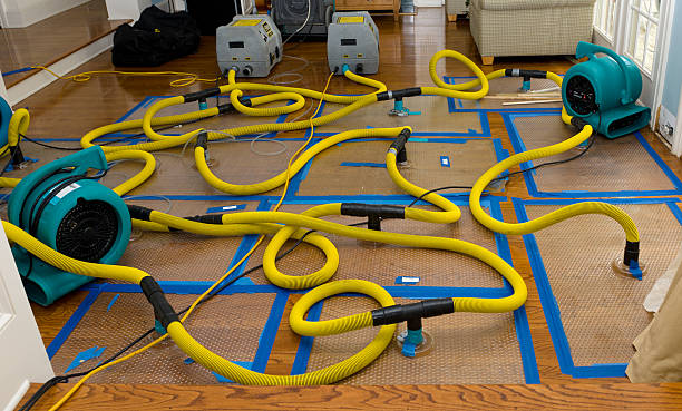 Professional Water Extraction technician working in Woodland, WA